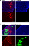 FIG 10