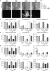 FIG 13