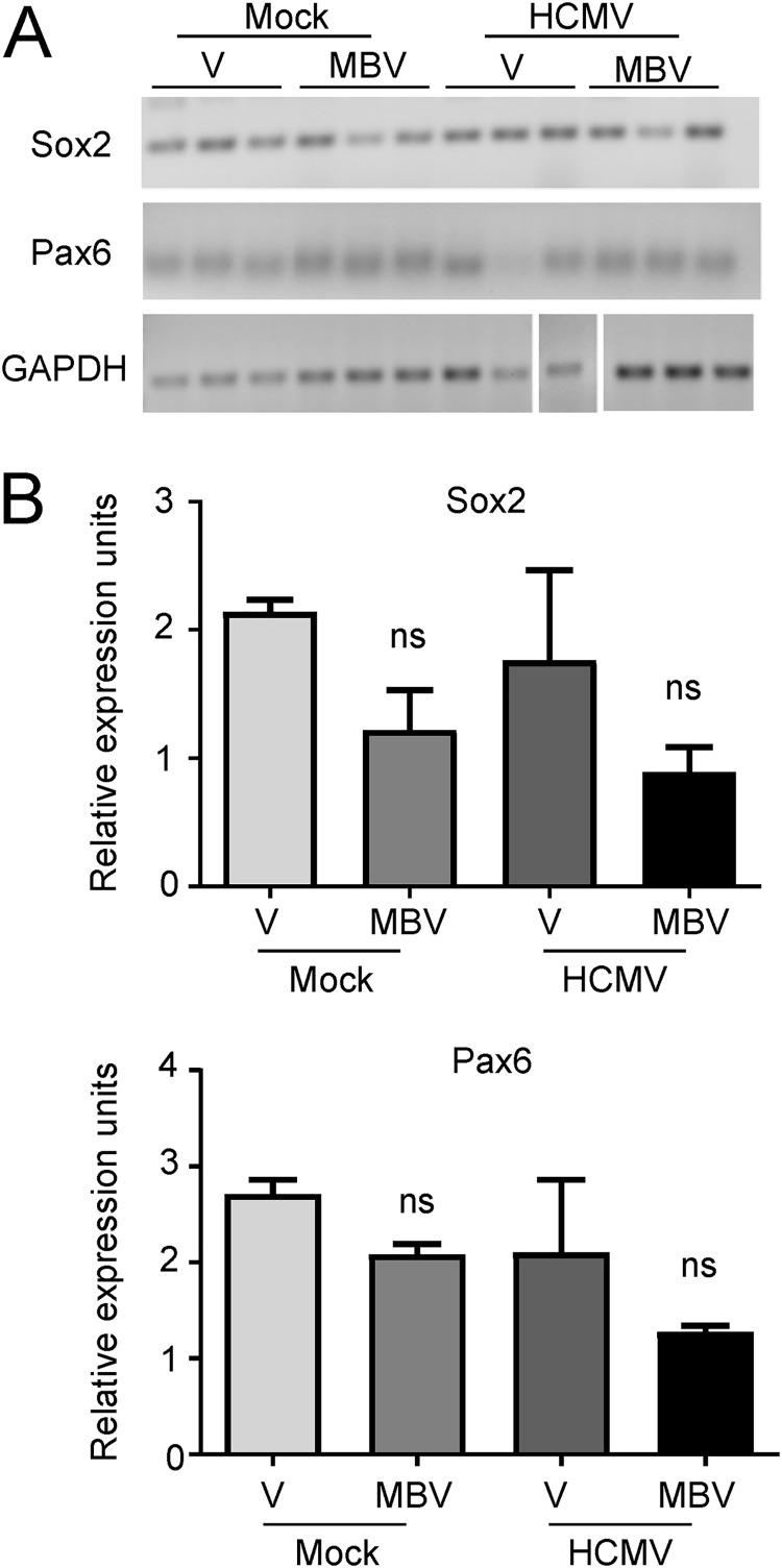 FIG 7