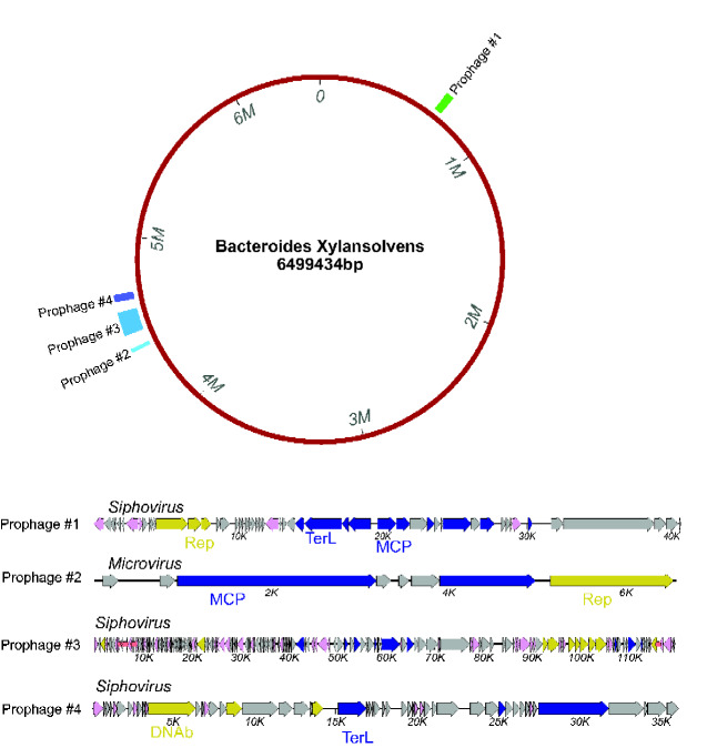 Figure 6.