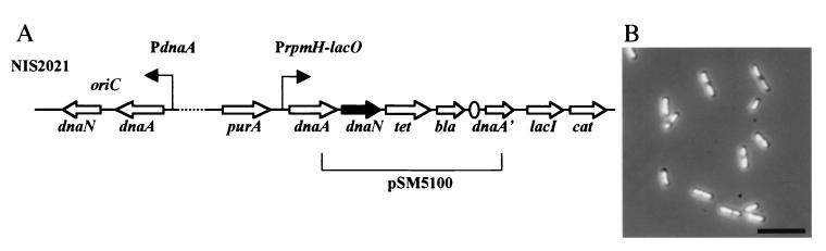 FIG. 3