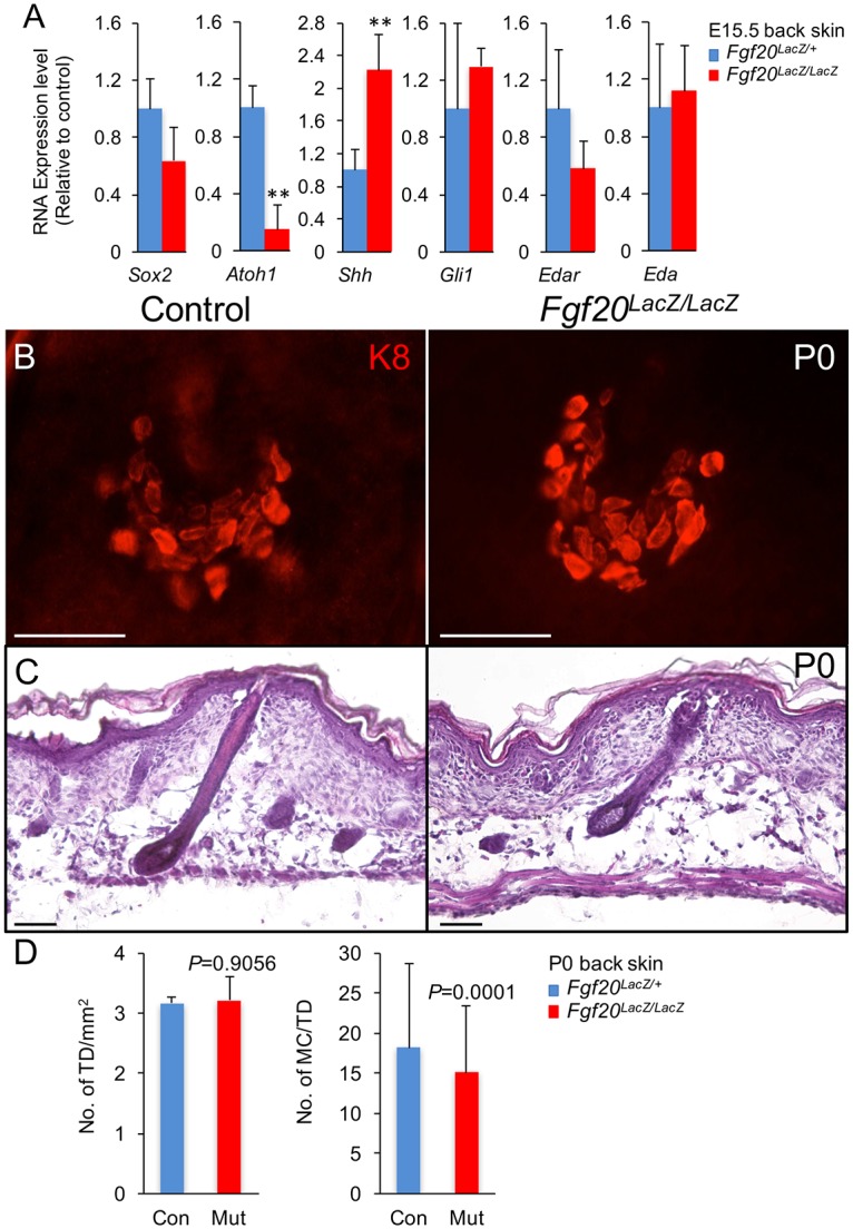 Fig 6