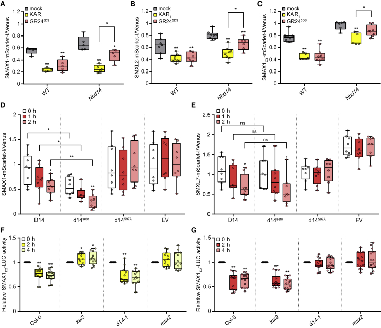 Figure 2