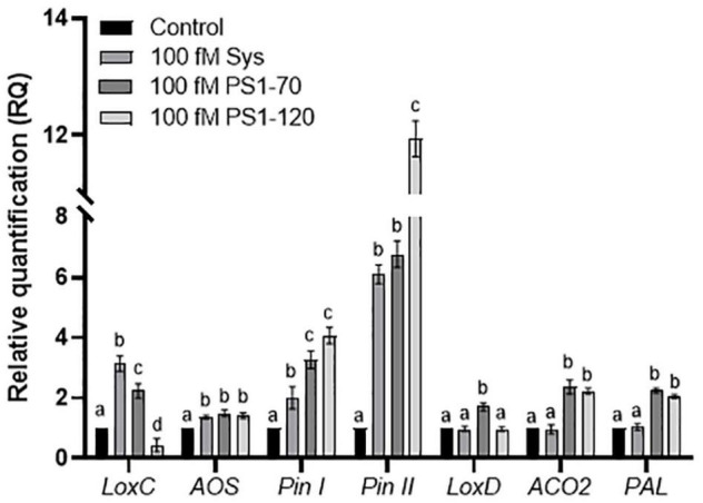 FIGURE 6