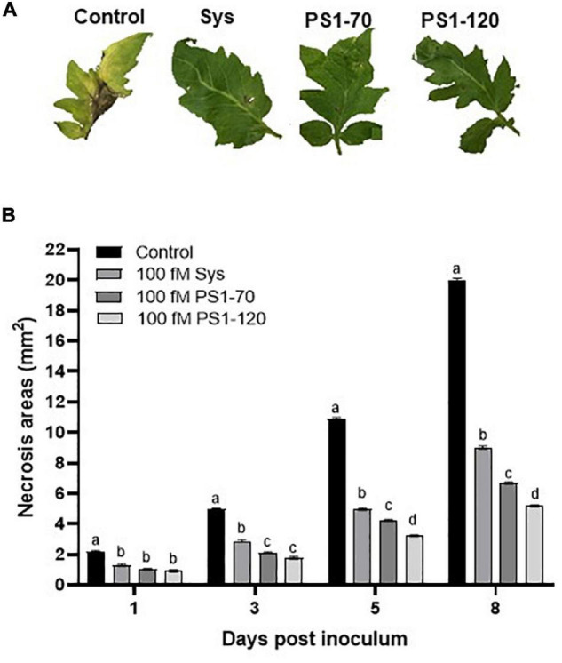 FIGURE 4