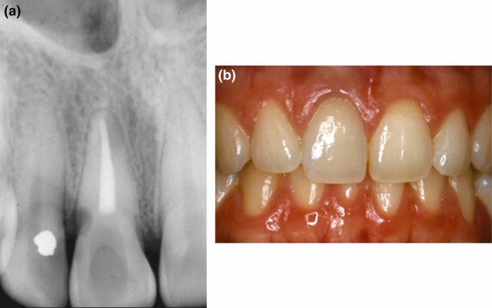 FIGURE 7