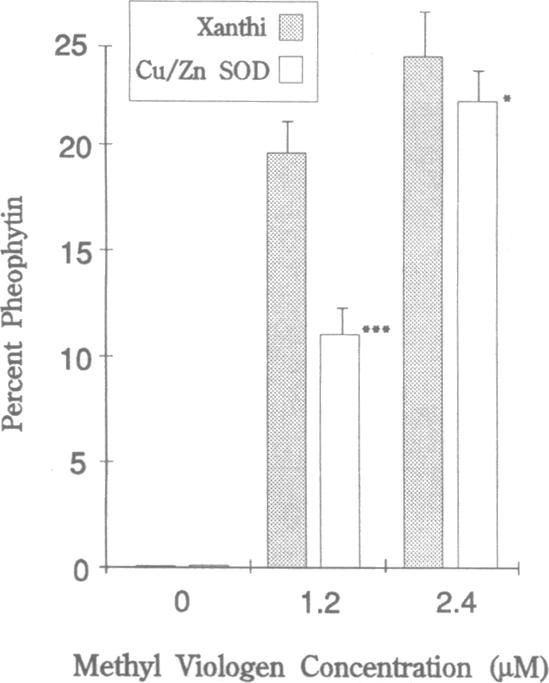 graphic file with name pnas01102-0503-a.jpg