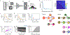Extended Data Fig. 1 |