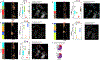 Extended Data Fig. 9 |