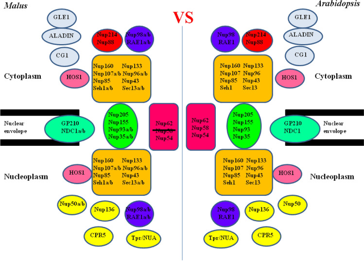 Figure 10