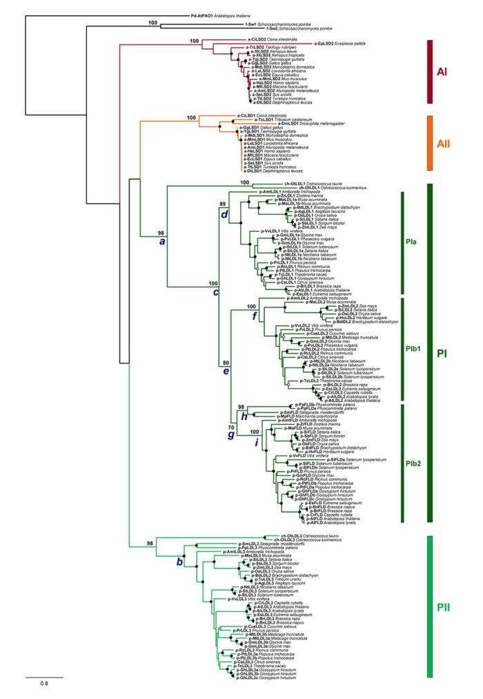 FIGURE 3