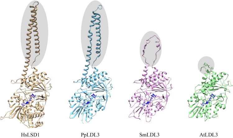 FIGURE 2