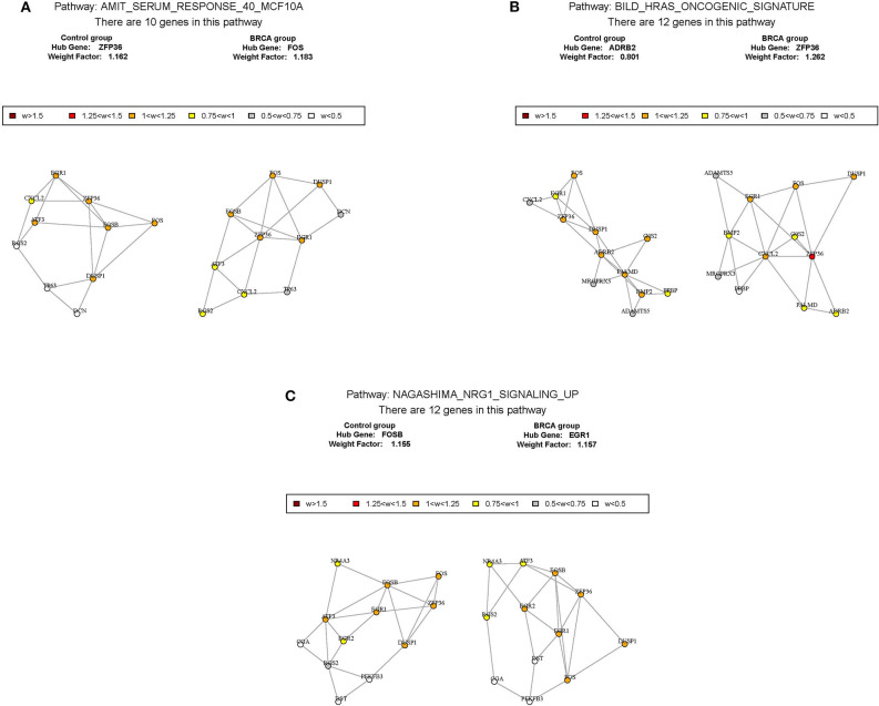 Figure 6