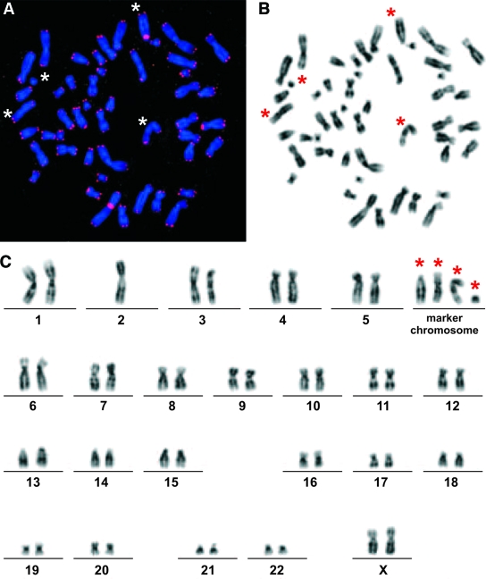 FIG. 2.