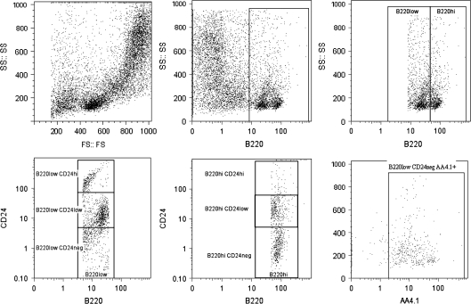 FIG. 2.