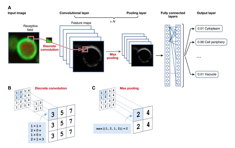 Box 2: Convolutional Neural Network