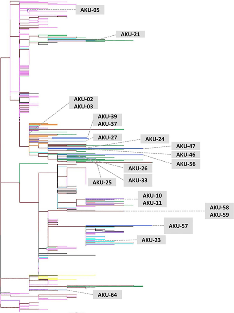 Fig 1