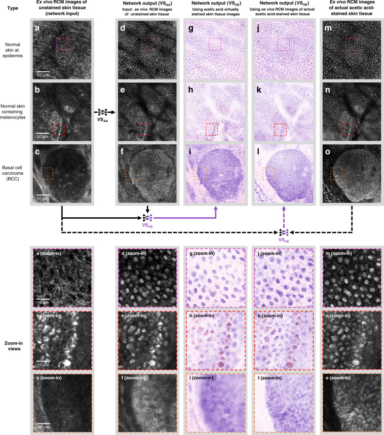 Fig. 6