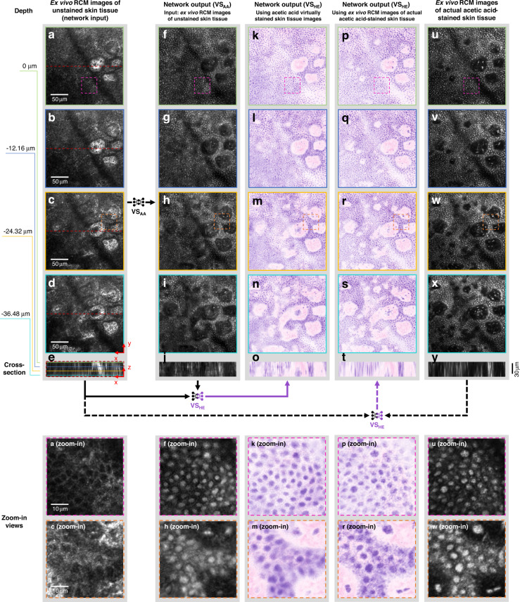 Fig. 4