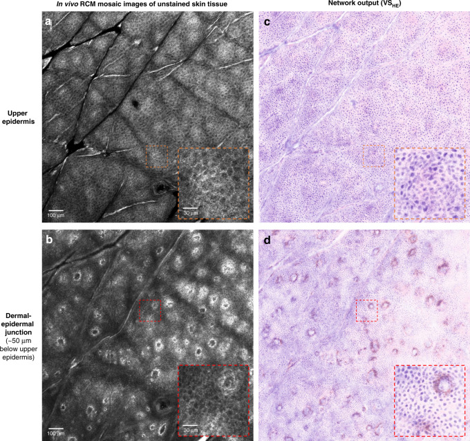 Fig. 8