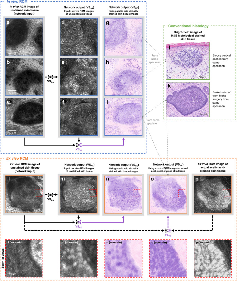 Fig. 7