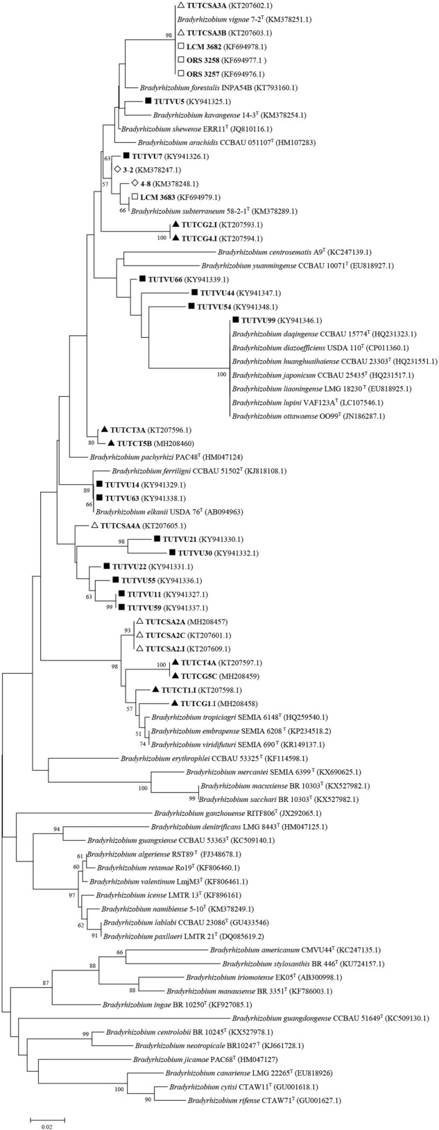 FIGURE 3