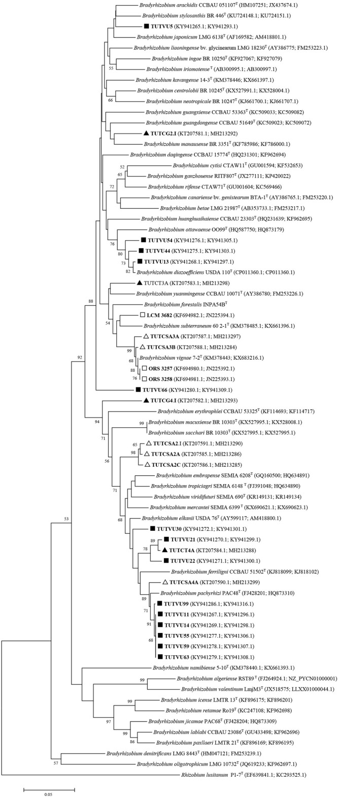 FIGURE 2