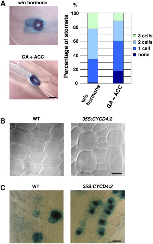 Figure 6.