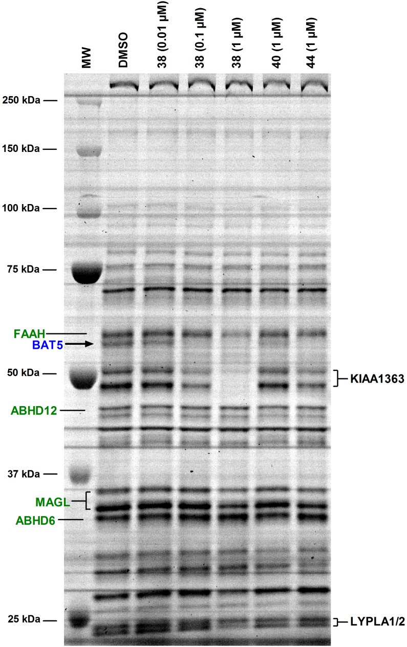 Figure 11