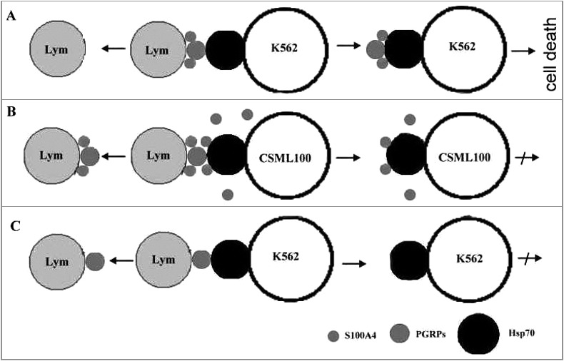 Figure 4.