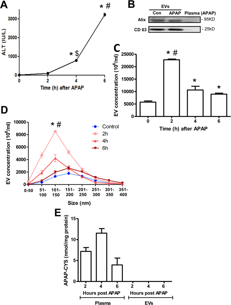 Figure 3: