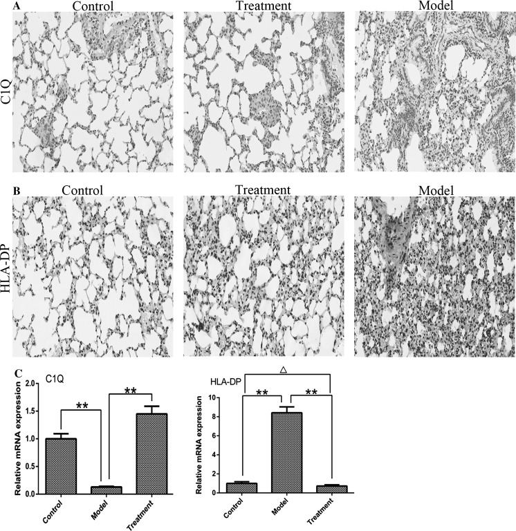 Fig. 8