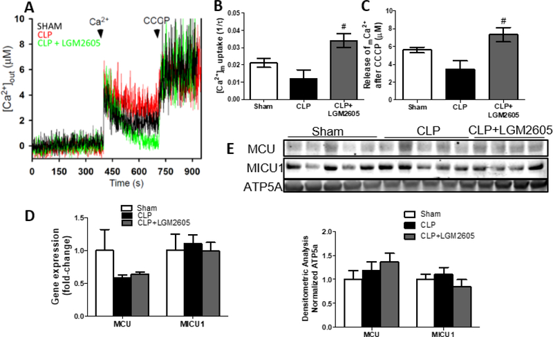 Figure 5: