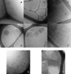 FIGURE 8