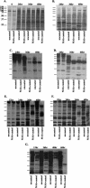 FIG.6.