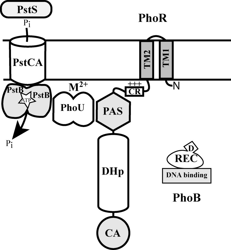 FIG 8