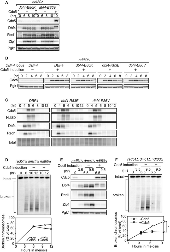 Figure EV3