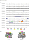 Figure 2,