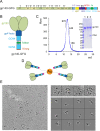 FIG 1