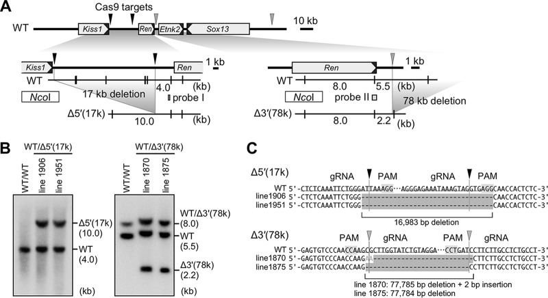 FIG 3