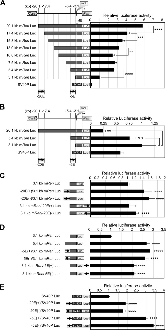 FIG 6