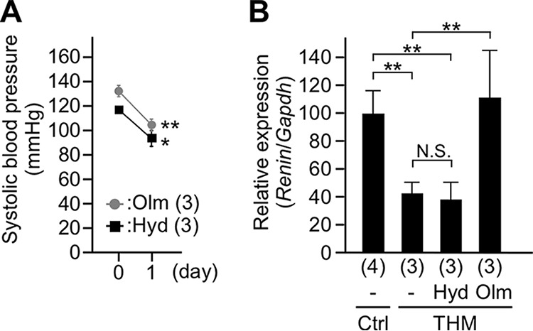 FIG 1