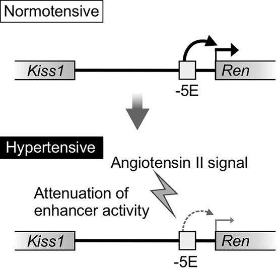 FIG 11