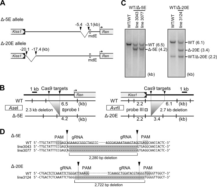 FIG 8