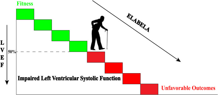 Graphical Abstract