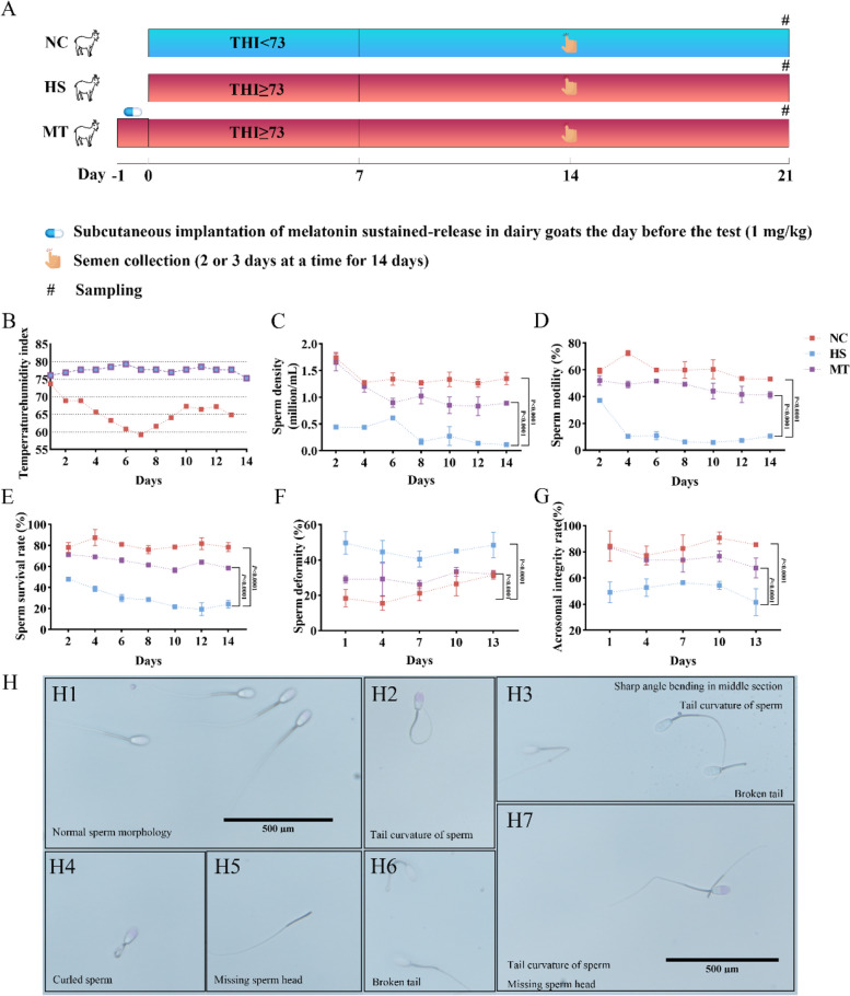 Fig.1