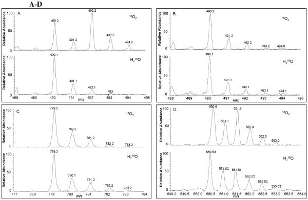 Figure 6 A-D