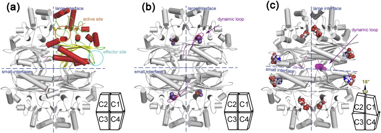 Fig. 4.