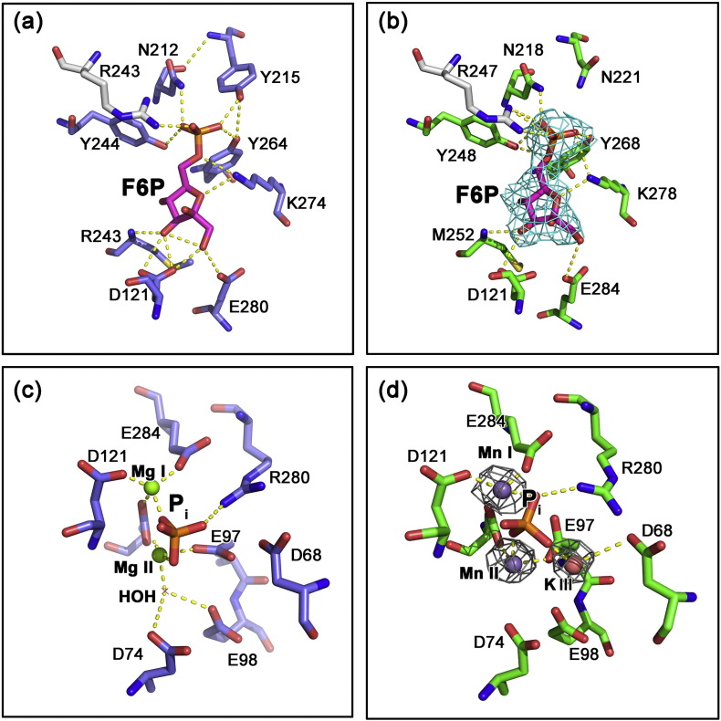 Fig. 6.