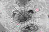 Figure 1A.